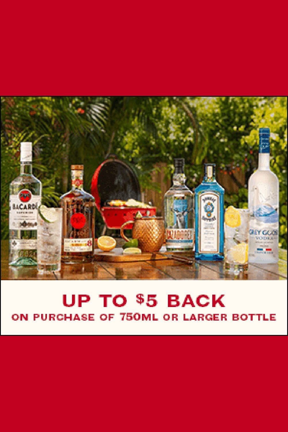  5 Bacardi Rebate Offer In 2021 Bacardi Bottle Dewar