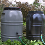 City Of Cranbrook Rain Barrel Rebate Program