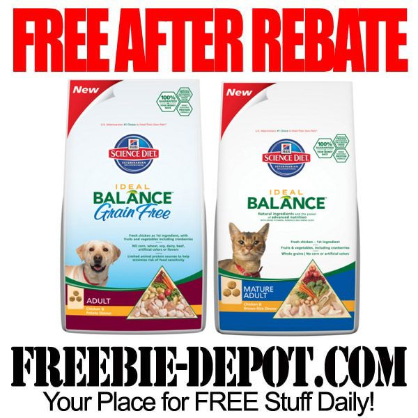 Pin On FREE After Rebate