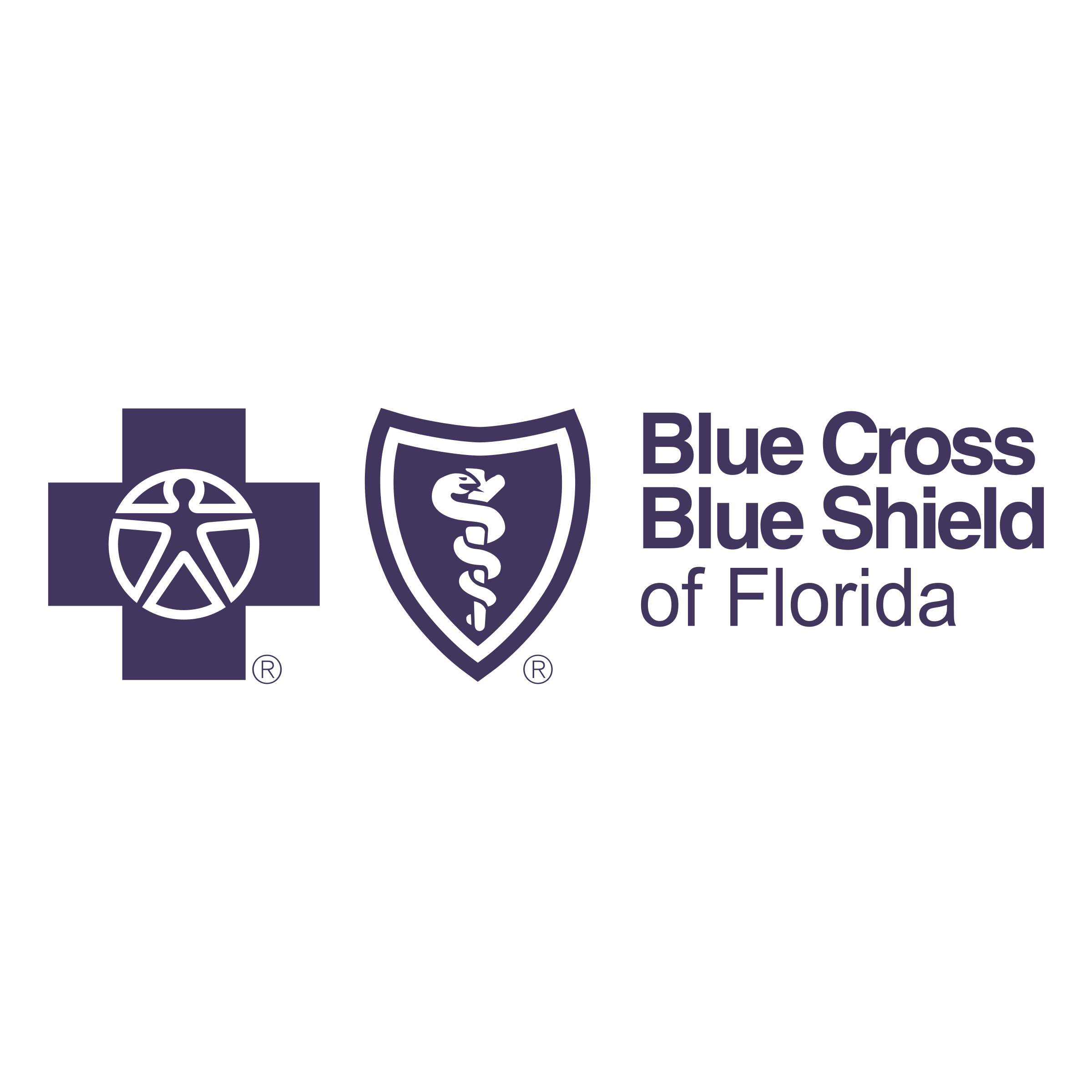 Blue Cross Blue Shield Of Florida Logo PNG Transparent SVG Vector