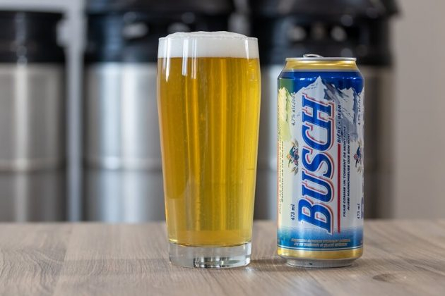 Busch Beer Snow Rebate 1 For Every Inch Of Snow The Money Ninja