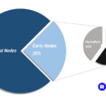 Consensus Check REI DAO 3 Proposal REI Network Foundation