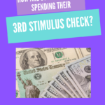 How Are Some Americans Spending Their 3rd Stimulus Checks MyFIDiary