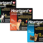 Secrets Of A Vet Tech The Pet Parent Professor Using Heartguard