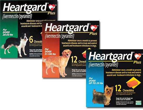 Secrets Of A Vet Tech The Pet Parent Professor Using Heartguard 