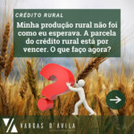 Vargas D vila PRODUTOR RURAL FIQUE ATENTO DECRETO 11 209