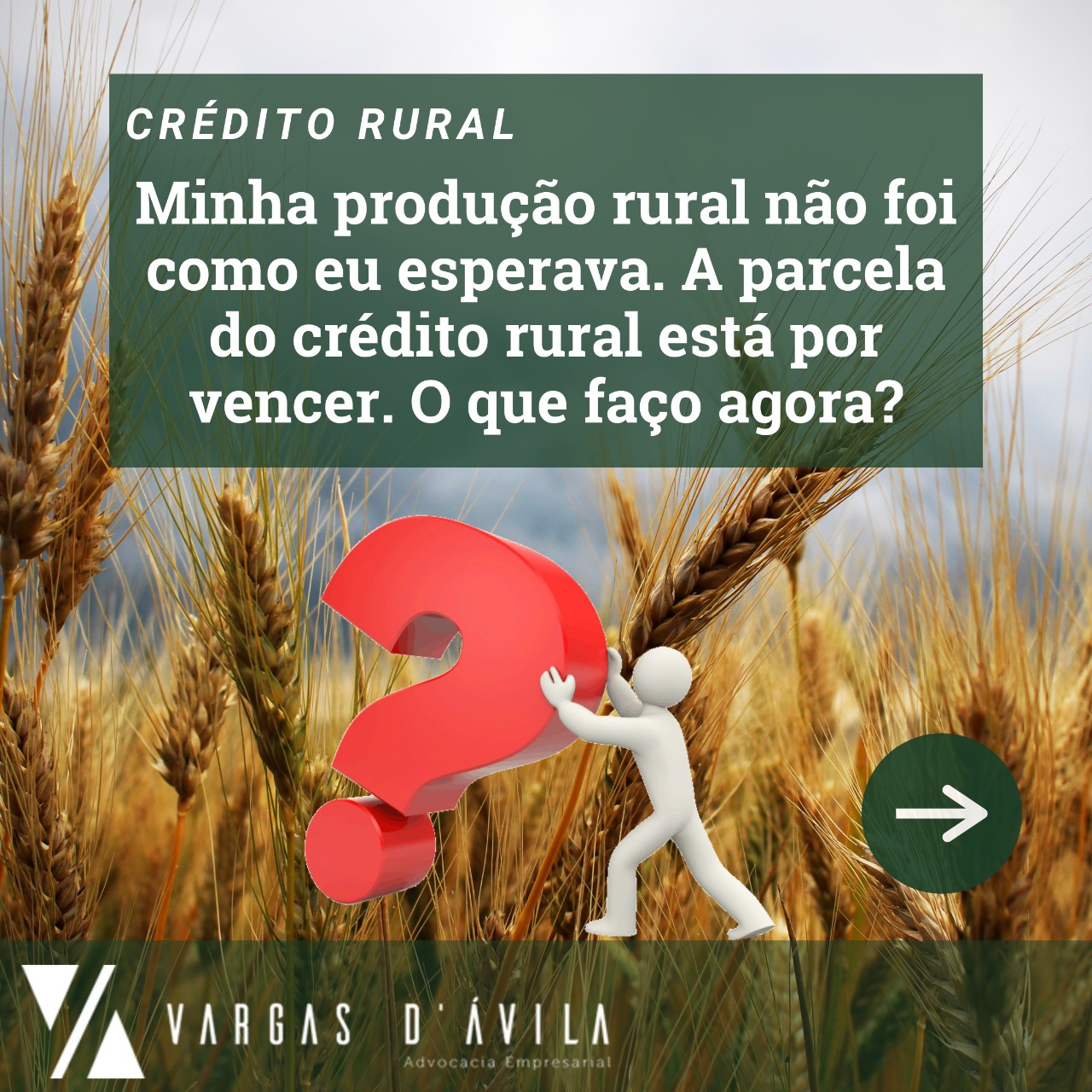 Vargas D vila PRODUTOR RURAL FIQUE ATENTO DECRETO 11 209 