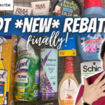 WALMART IBOTTA HAUL HOT NEW DEALS AND REBATES HIT TWO BONUSES I